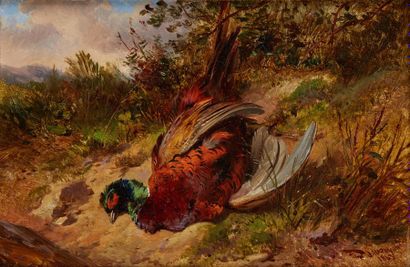 JAMES II HARDY (Angleterre 1832 - 1889) 
Pheasant - Pheasant hen
Pair of prepared
panels...