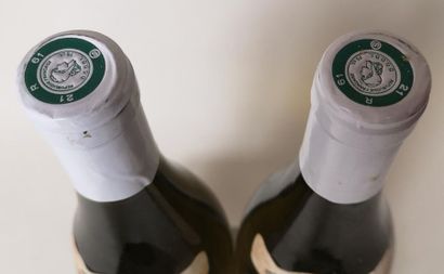 null 2 bouteilles CHEVALIER MONTRACHET Grand cru - M. Niellon 2011

Etiquettes très...