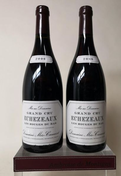 null 2 bouteilles ECHEZEAUX Grand cru "Les Rouges du Bas" - Méo-Camuzet 2006

1 étiquette...