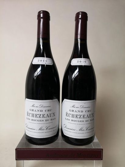 null 2 bouteilles ECHEZEAUX Grand cru "Les Rouges du Bas" - Méo-Camuzet 2010

Etiquettes...
