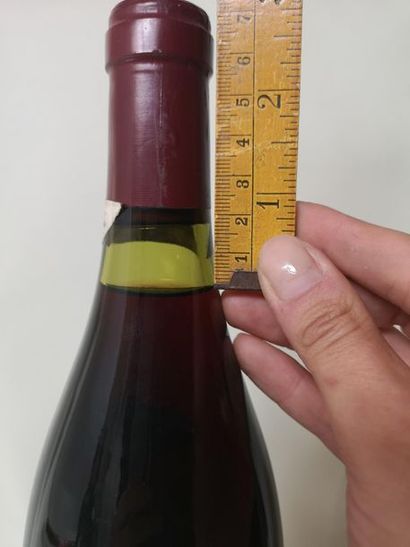 null 1 bouteille NUITS-MEURGERS - HENRI JAYER 1985

Etiquette légèrement sale, niveaux...