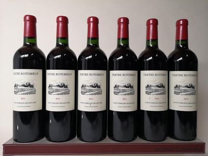 null 6 bouteilles CHÂTEAU TERTRE ROTEBOEUF - Grand cru Saint Emilion 2011

2 étiquettes...