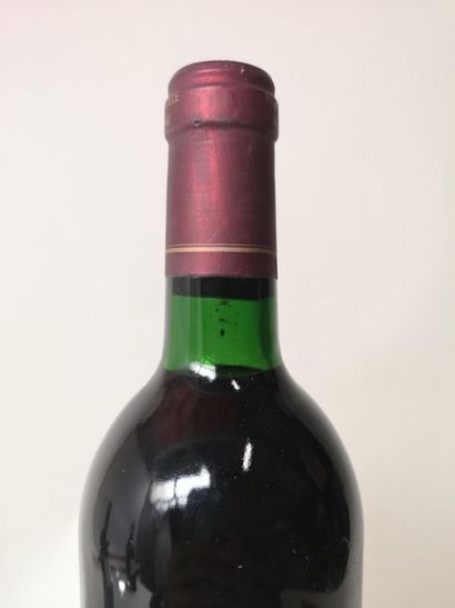 null 1 bouteille CHÂTEAU Le PIN - Pomerol 1989

Etiquette tâchée et très légèrement...