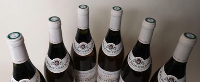 null 6 bouteilles Meursault 1er cru "Perrières" - Bouchard P&F 1997

Caisse bois...