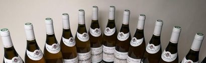 null 12 bouteilles Corton-Charlemagne Grand cru - Bouchard P&F 1996

Caisse bois...