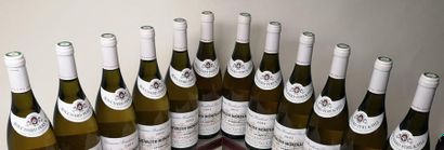 null 12 bouteilles Chevalier-Montrachet "La Cabotte" Grand cru - Bouchard P&F 2003

Caisse...
