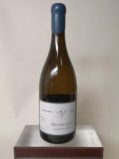 null 1 bouteille MEURSAULT Seve du Clos Vieilles vignes - Arnaud ENTE 2009

Etiquette...