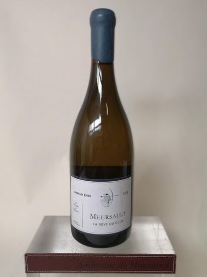 null 1 bouteille MEURSAULT Seve du Clos Vieilles vignes - Arnaud ENTE 2010

