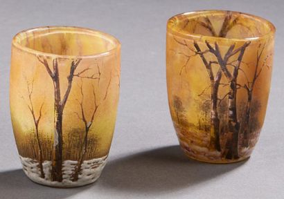 DAUM Nancy 
Paire de vases miniatures en verre doublé à décor dégagé à l'acide d'un...