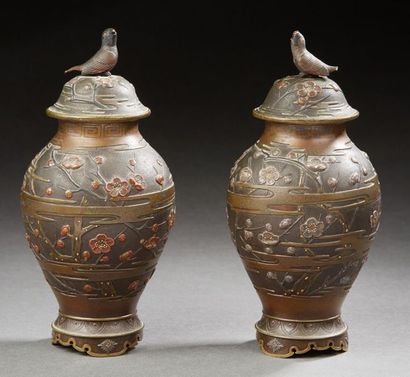 JAPON ÉPOQUE MEIJI (1868 1912) 
Pair of small covered bronze vases with brown patina,...