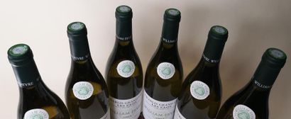 null 6 bouteilles CHABLIS Grand cru "Les Clos" - Domaine Wm. FEVRE 2005


