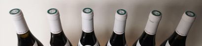 null 6 bouteilles PULIGNY-MONTRACHET 1er cru "Les Folatières" - Bouchard P&F 1996


Caisse...