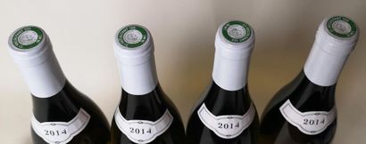 null 4 bouteilles CHASSAGNE MONTRACHET - M. Niellon 2014


