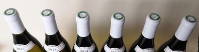 null 6 bouteilles CHASSAGNE MONTRACHET 1er cru "La Maltroie" - M. Niellon 2014

...