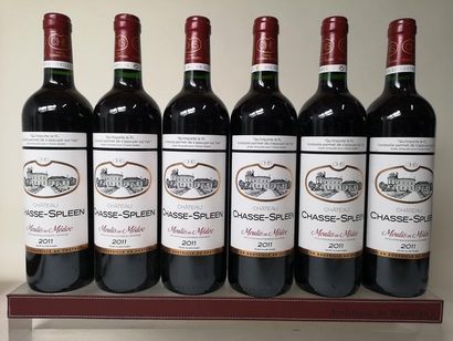 null 6 bouteilles CHÂTEAU CHASSE SPLEEN - Moulis 2011


