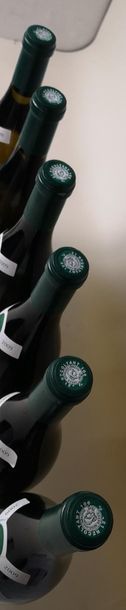 null 6 bouteilles VOUGEOT Blanc "Le Village" - Domaine Bertagna 2009


4 étiquettes...