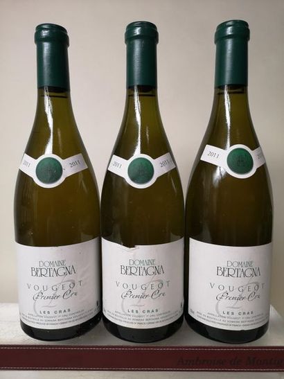 null 3 bouteilles VOUGEOT Blanc 1er cru "Les Cras" - Domaine Bertagna 2011


Une...