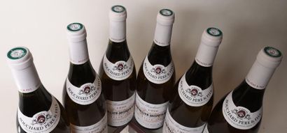 null 6 bouteilles CHEVALIER-MONTRACHET Grand cru - Bouchard P&F 1996

Caisse bois...