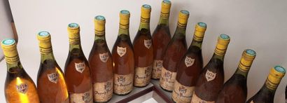 null 12 bouteilles AUXEY DURESSES - Marcel BOUVET 1974

Etiquettes légèrement abîmées...