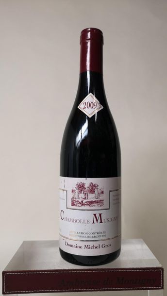 null 1 bouteille CHAMBOLLE MUSIGNY - Domaine Michel GROS 2009

Etiquette légèrement...