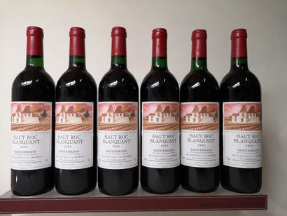 null 6 bouteilles HAUT ROC BLANQUANT - Saint Emilion (Dubois-Chalon) 1995

Un niveau...