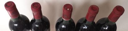 null 5 bouteilles LACOSTE BORIE - Pauillac A VENDRE EN L'ETAT

3 bouteilles de 1982...