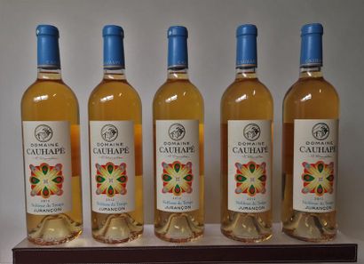 null 5 bouteilles JURANÇON - Noblesse du Temps - Domaine Cauhapé 2012
