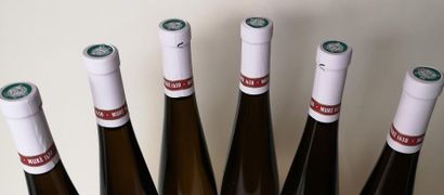 null 6 bouteilles René MURÉ - RIESLING - Clos St. Landelin 2015