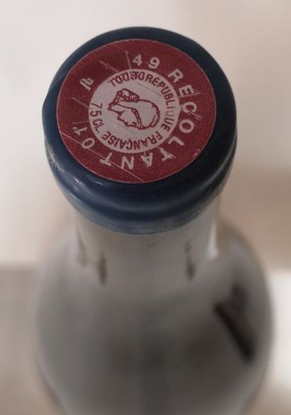 null 1 bouteille ANJOU "Les Nourrissons" - BERNAUDEAU 2015