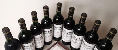 null 9 bouteilles CHÂTEAU LAFON ROCHET - 5é GCC Saint Estèphe 1988

6 légèrement...