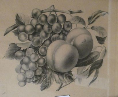 null Ecole française du XIXe siècle
Deux natures mortes aux fruits. 
Deux dessins...