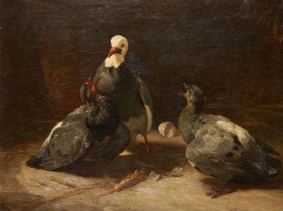 Philippe ROUSSEAU (Paris 1816 - Acquigny 1887) 
Trois pigeonneaux près du nid
Sur...