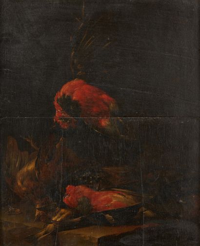 ATTRIBUÉ À CORNELIS BILTIUS (1653 - 1686/99) 
Oiseaux sur la pierre
Panneau parqueté
Signé...