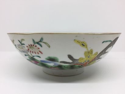 CHINE Circular porcelain bowl decorated with enamels of the rose family of butterflies...