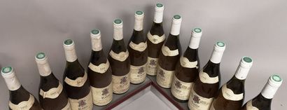 null 12 bouteilles RULLY "En Remenot" - Martine et Jean Marc GENELOT. 1995 A VENDRE...