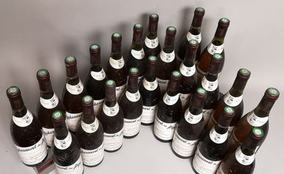 null 23 bouteilles CHATEAUNEUF DU PAPE "Les Cansonniers" - Jean Michel Devallouit...