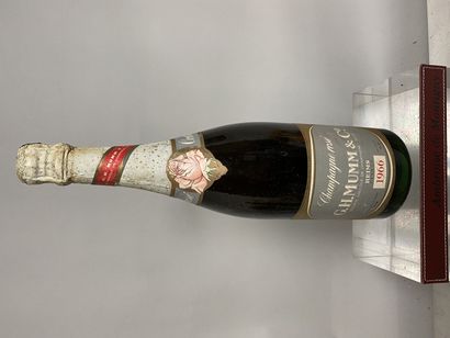 null 1 bouteille CHAMPAGNE Rosé G.H. MUMM Co 1966


Coiffe légèrement abîmée.