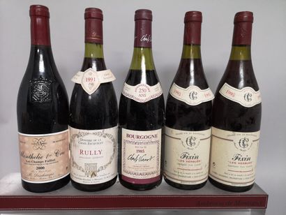 null 5 bouteilles BOURGOGNE ROUGE DIVERS : 2 bouteilles de FIXIN " Les Herbues" 1995,...