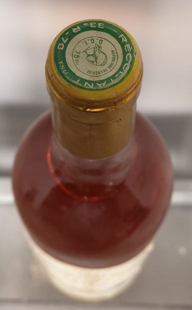 null 1 bouteilles Château de MALLE - Sauternes GCC 1983


Etiquette légèrement tachée....