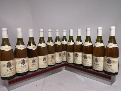 null 12 bouteilles RULLY "En Remenot" - Martine et Jean Marc GENELOT. 1995 A VENDRE...