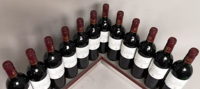 null 12 bouteilles Château HAUT CORBIN - GCC Saint Emilion 1995 En caisse bois.


1...