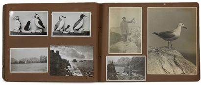 null [ORNITHOLOGIE]. [LABITTE (André), architecte et ornithologue (1890-1964)].
Importante...