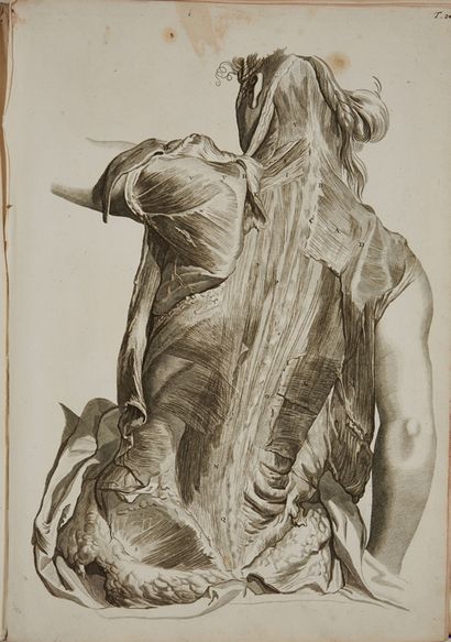 COWPER, WILLIAM. Anatomia corporum humanorum centum et viginti tabuli. Utrecht, Nicolaum...