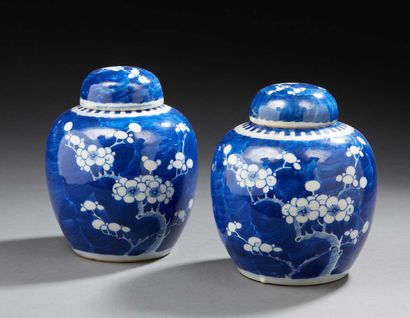 CHINE Paire de pots couverts à gingembre en porcelaine, décorés en bleu sous couverte...
