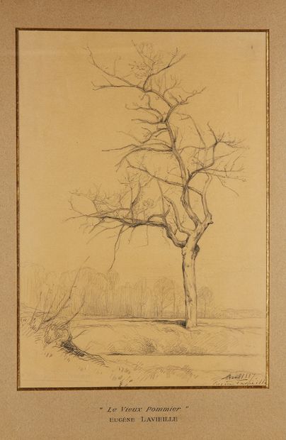 Eugène LAVIEILLE (Paris 1820 - 1889) Paysage au grand arbre
Crayon noir
Daté et signé...