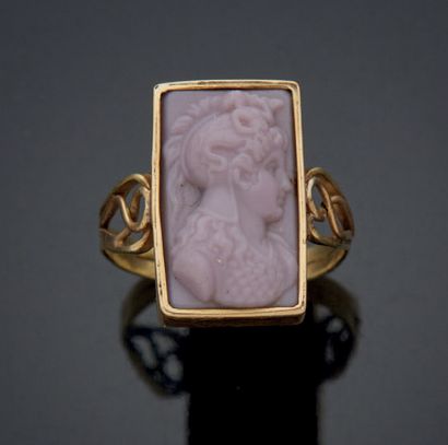 null 
Gold alloy HORSE RING 750 mm with a cameo of soapstone.



Gross weight: 3,9...