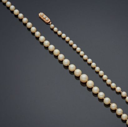 null COLLAR OF FALLING PEARLS, clasp in yellow gold 750 mm decorated with three pearls.
Gross...
