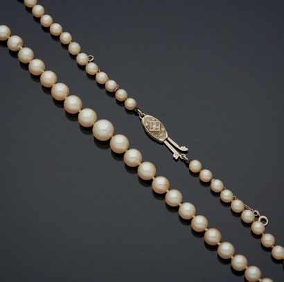 null COLLAR OF FALLING PEARLS.
Clasp in gold 750 mm decorated with brilliants
Length:...