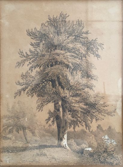 null French school of the 19th century

Study of a tree

Graphite and white highlights,...
