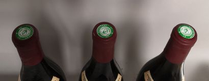 null 
3 bouteilles NUITS St. GEORGES 1er cru ""Les Roncières"" - Robert CHEVILLON...